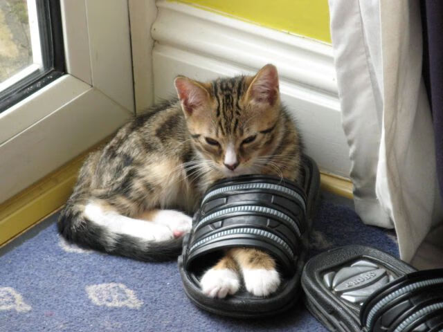 开云体育平台APP-掘金vs吉林激战，哈登持续制造杀伤，引爆东西方篮球盛宴