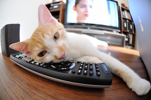 绿茵烽火与篮坛绝杀，当意甲巅峰对决遇上爵士致命一击