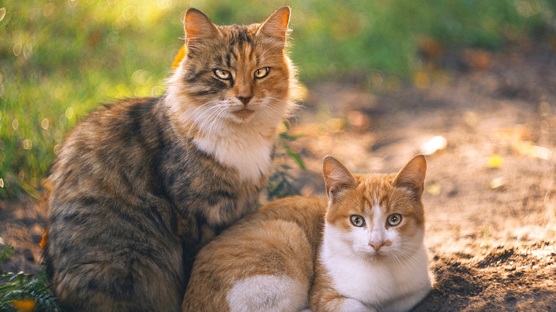 开云体育APP下载-天神下凡！浓眉生死时刻连砍12分导演逆转，新疆撕碎北京铁壁捍卫主场